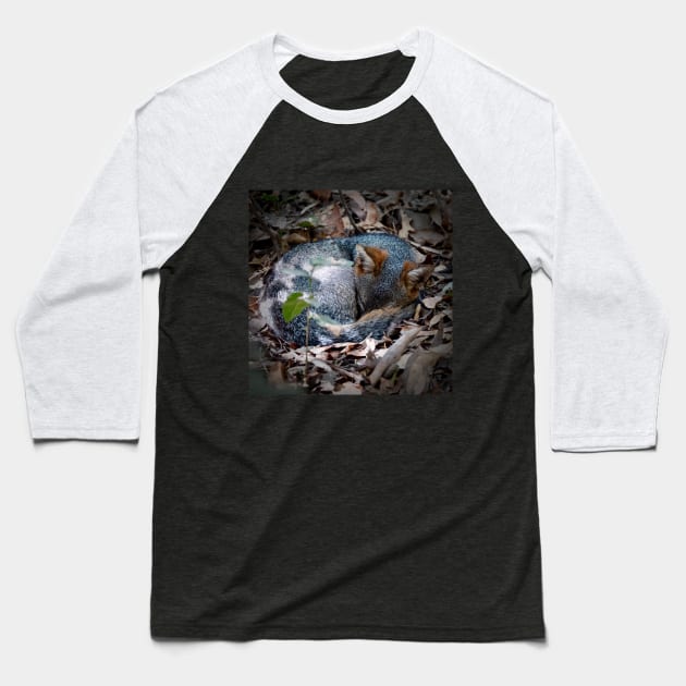 Sleeping fox Baseball T-Shirt by WildSideDesigns